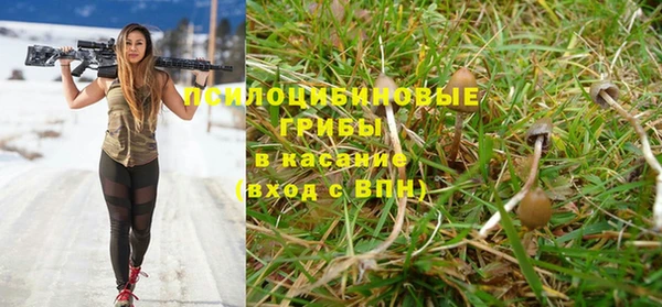 дурь Аркадак