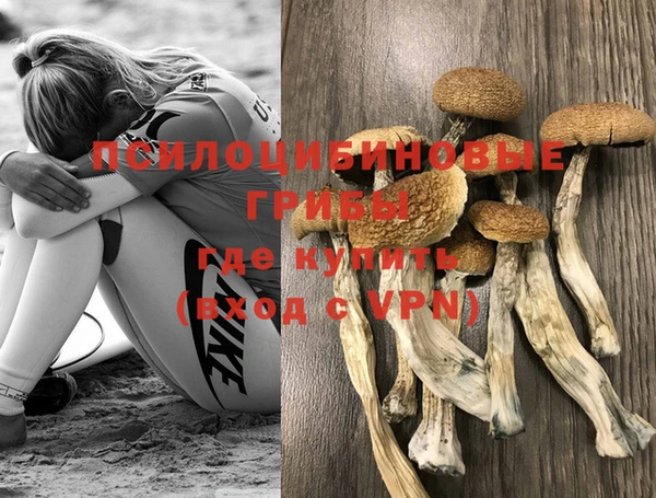 дурь Аркадак